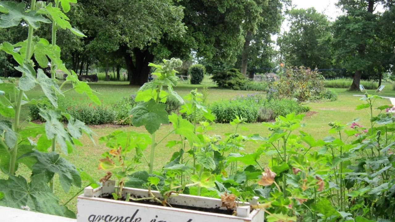 Le Clos de la Garenne Maison d'hôtes Puyravault  Extérieur photo